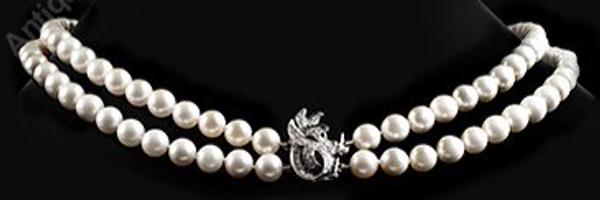 _SandraSays Profile Banner