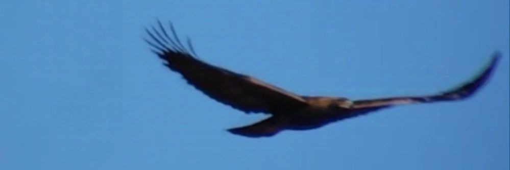 albee_tobarra's profile banner image