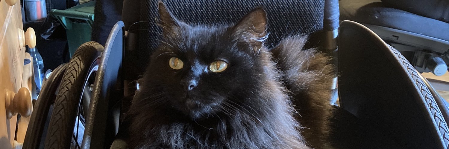 Daisy (She/Her) banner