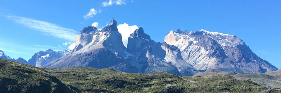 ainipalomo's profile banner image