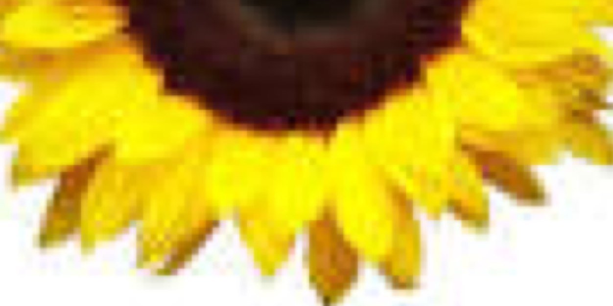 mchellina's profile banner image