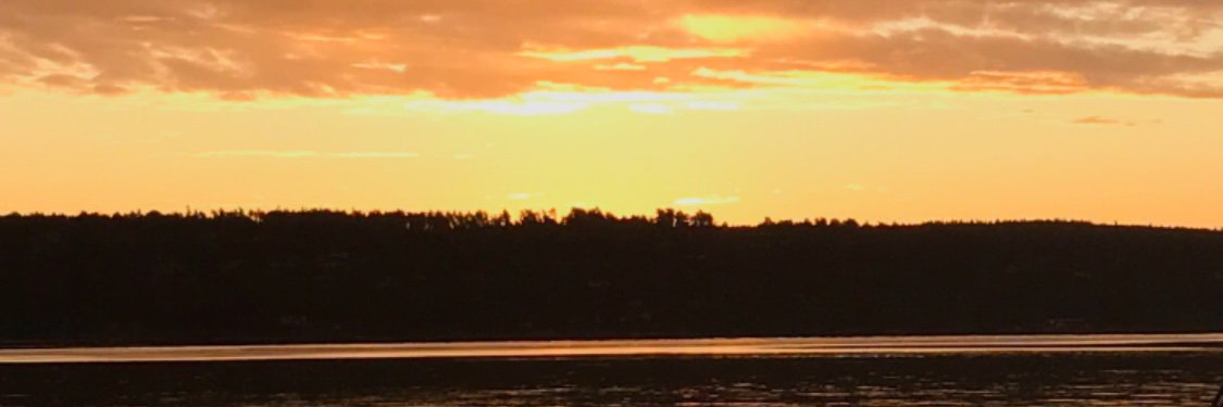 paniek1's profile banner image