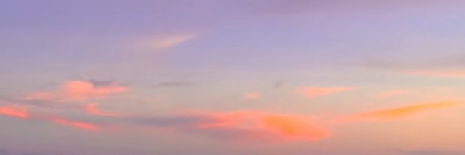 ainiragim's profile banner image