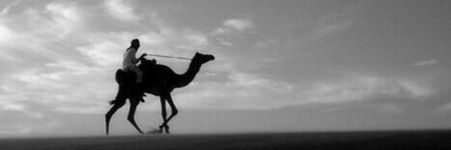 bin_beshr's profile banner image