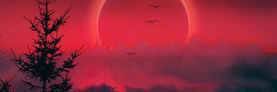 dyupitter's profile banner image