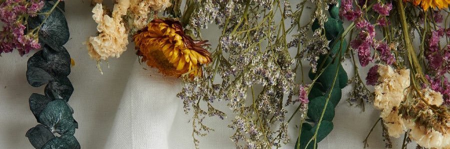 rachelem42's profile banner image