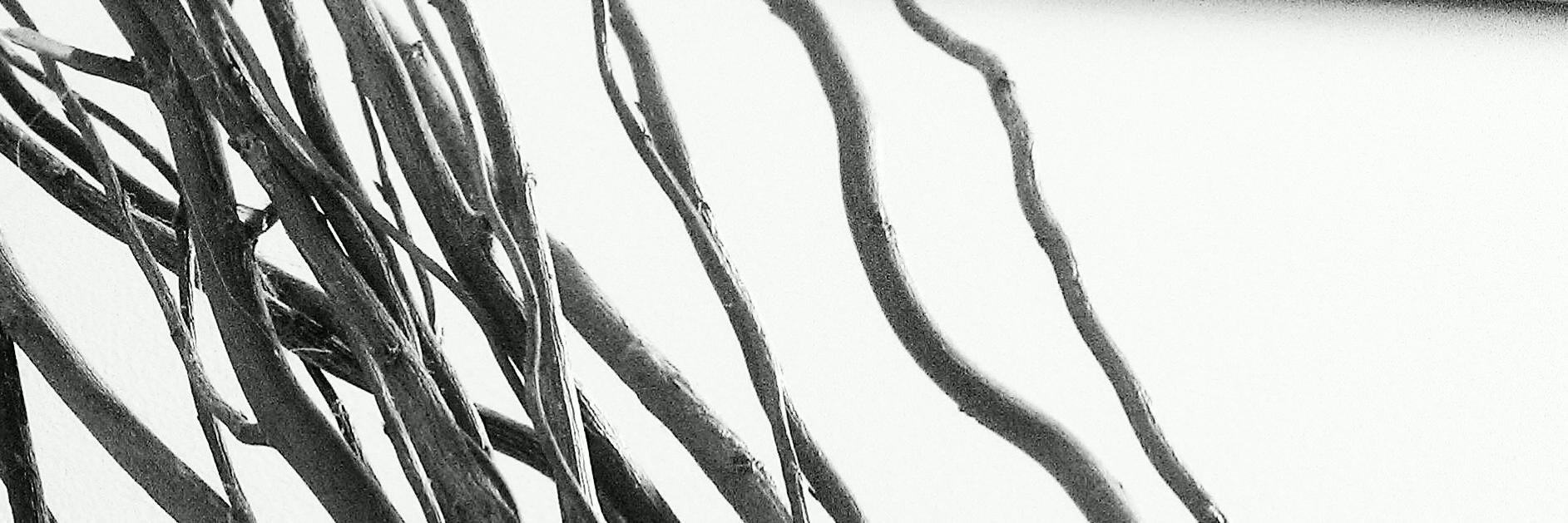 BassClef789's profile banner image