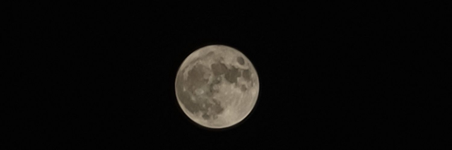 AnthonyStrusz's profile banner image