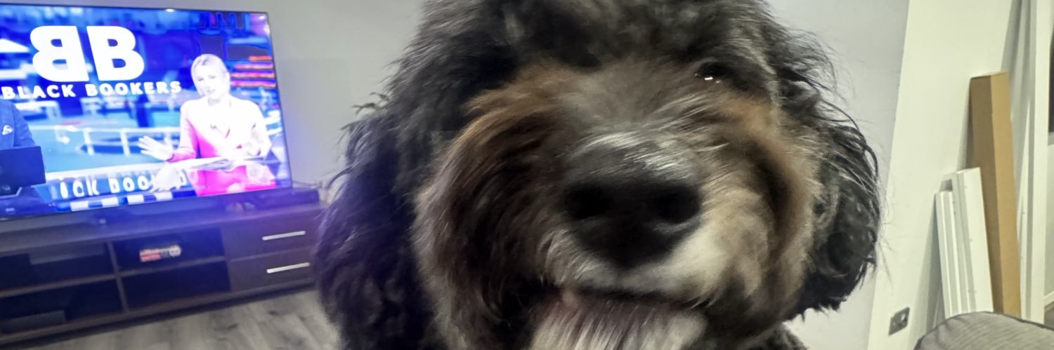 PZaghini's profile banner image