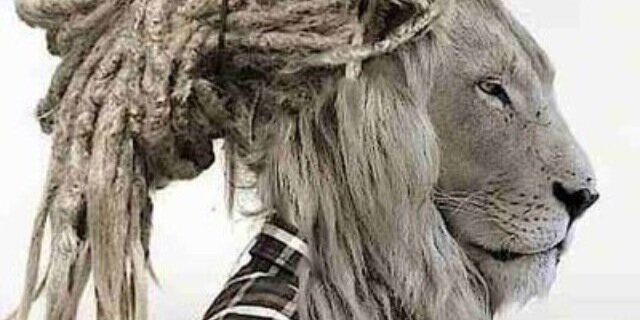 MikePoloKay's profile banner image