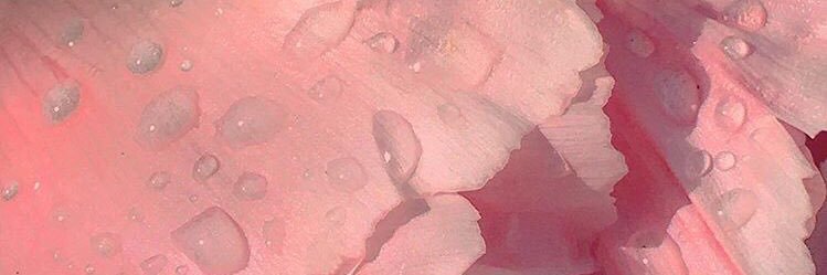 UTrasorras's profile banner image