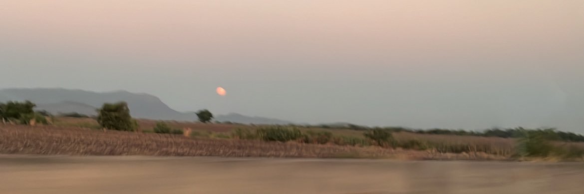 edithmoara's profile banner image