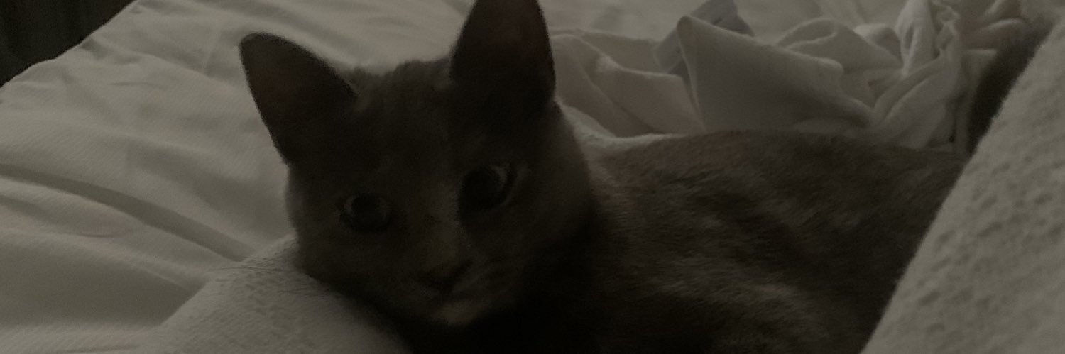michaelrisener's profile banner image