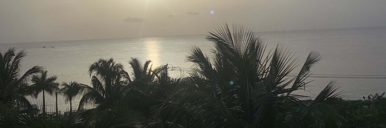 Madison_Medalis's profile banner image