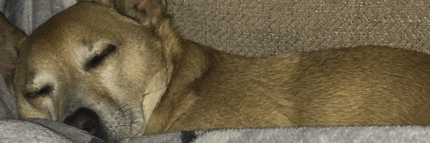 vickih28's profile banner image