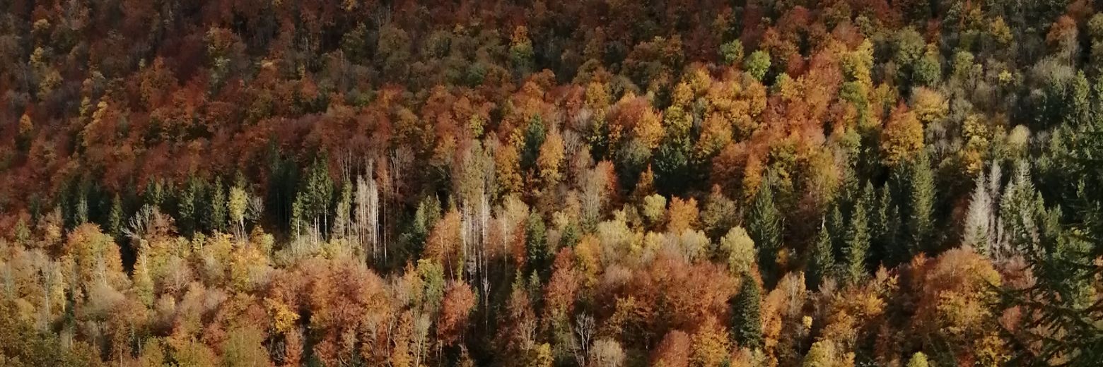 Youwen Ker Bel banner