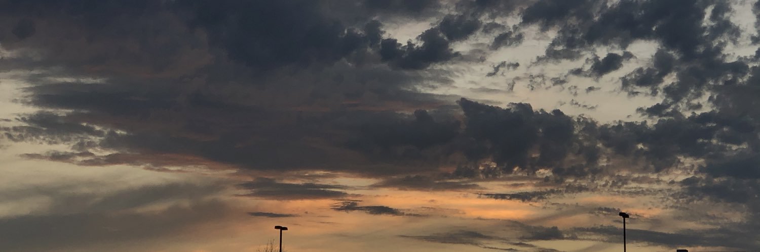 _hannahallison_'s profile banner image