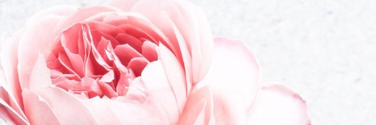 Krissy__K's profile banner image