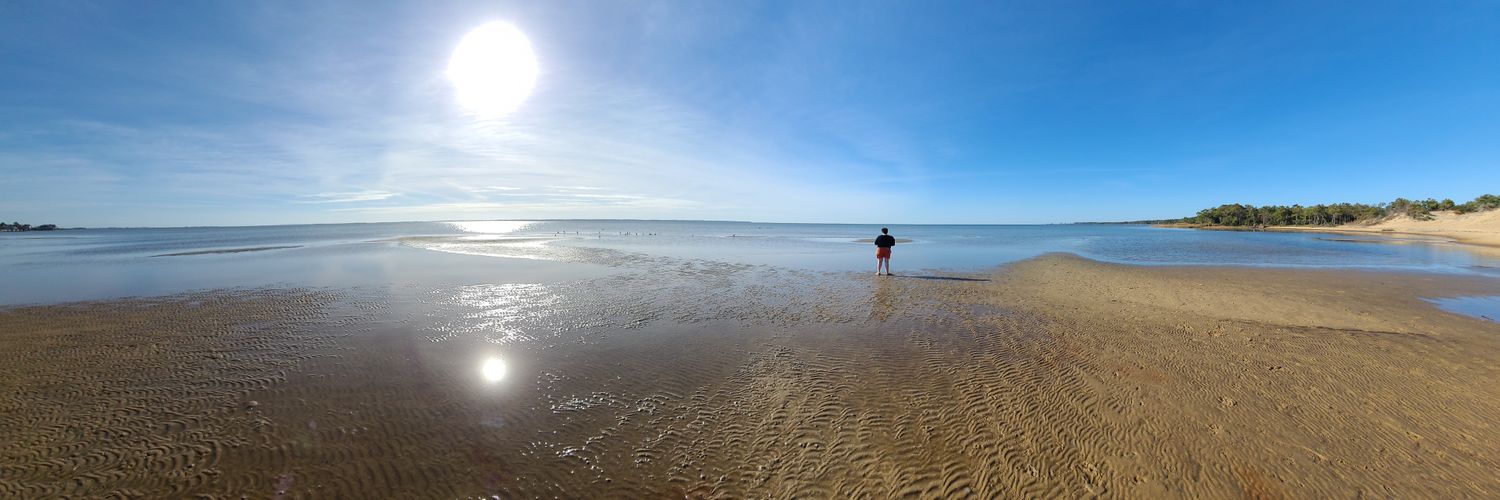 Joshua Meadows banner