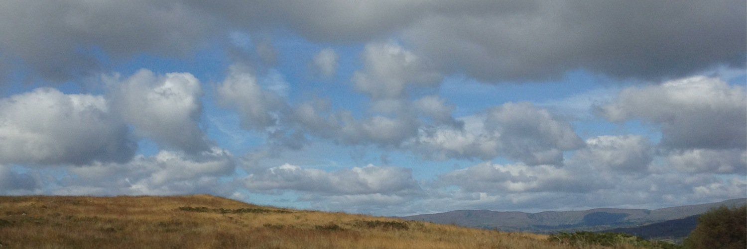 CotterSyl's profile banner image