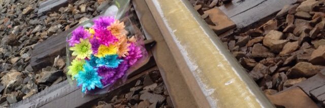 Emilynoddin's profile banner image