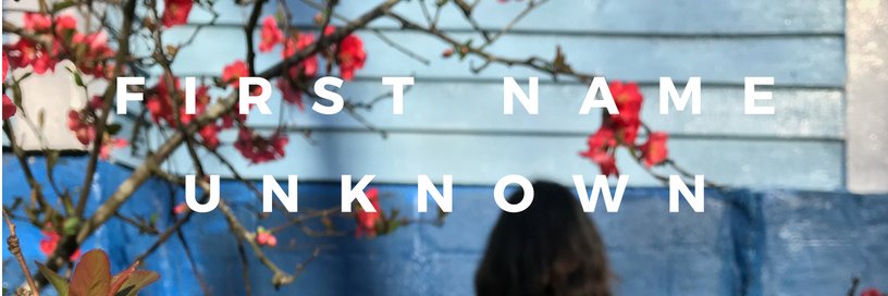 Deborah Augustin banner