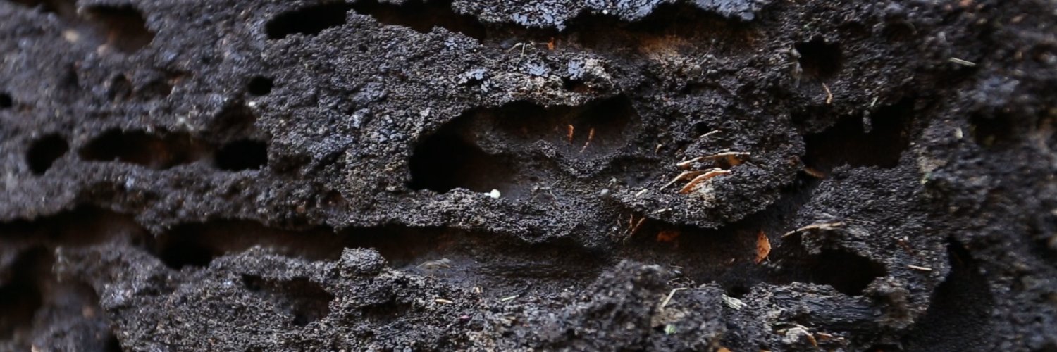 HeatherABarnett's profile banner image