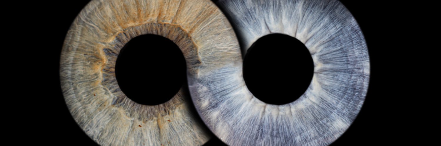 VxBiGD's profile banner image