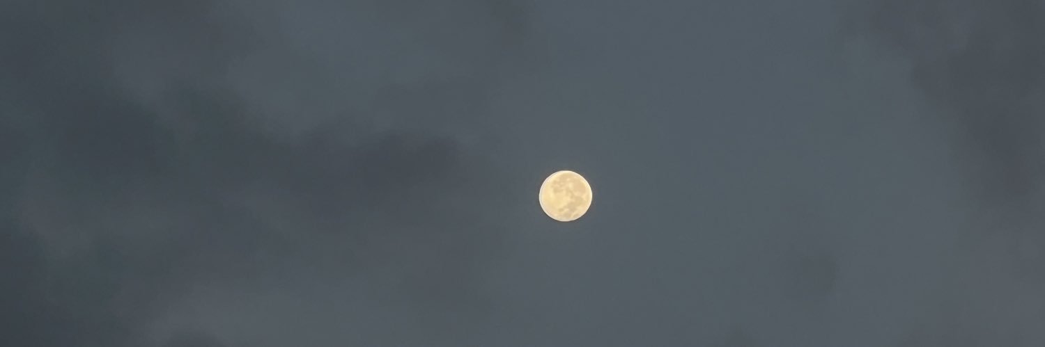 cami_laGem's profile banner image