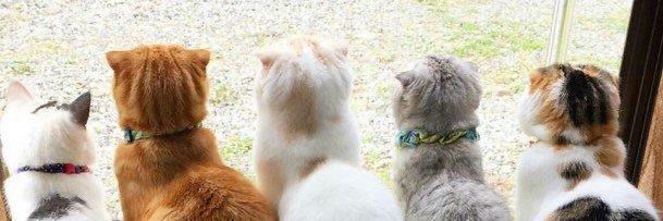 SAMMERBAMER's profile banner image