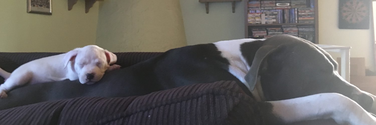 alysayvette_'s profile banner image