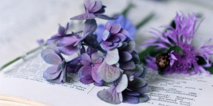 jamilahannah's profile banner image