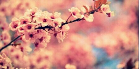 raqqueldiaz's profile banner image