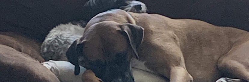 DiegoRuckus's profile banner image