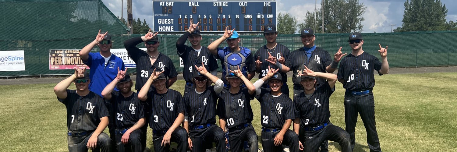 Bemidji Blue Ox banner