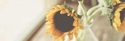 DandyyyAndyyy's profile banner image