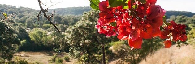 fermagmel's profile banner image