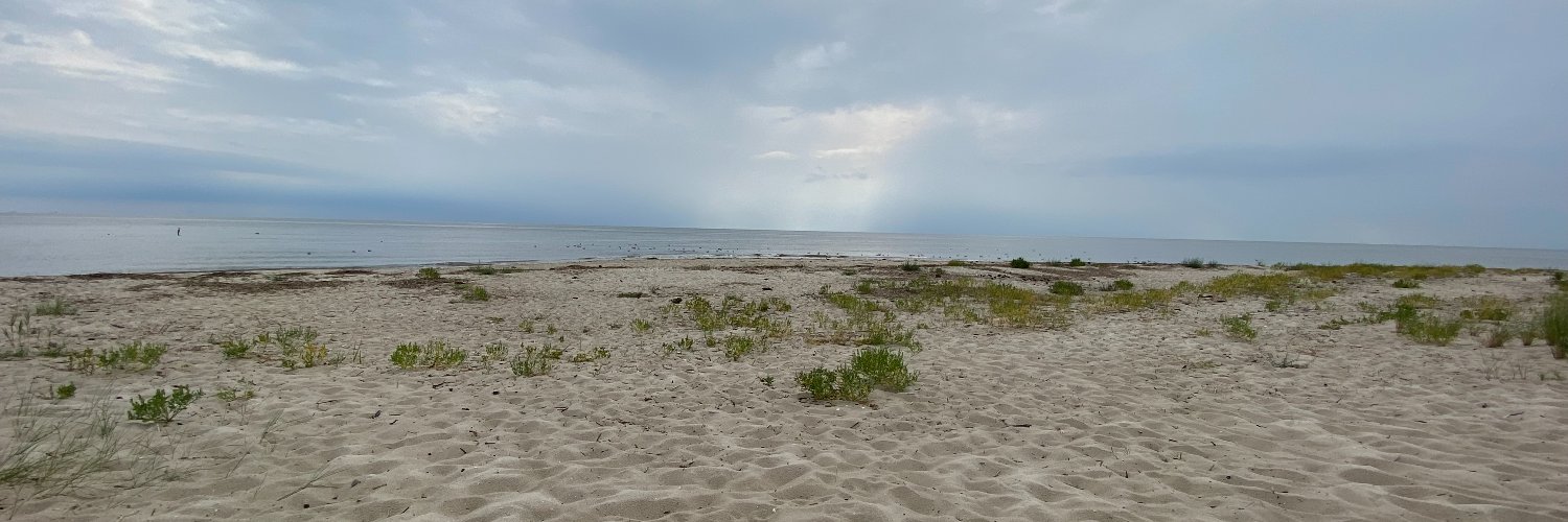 Mathilde (Tilly) Schrieks🏳️‍⚧️ banner