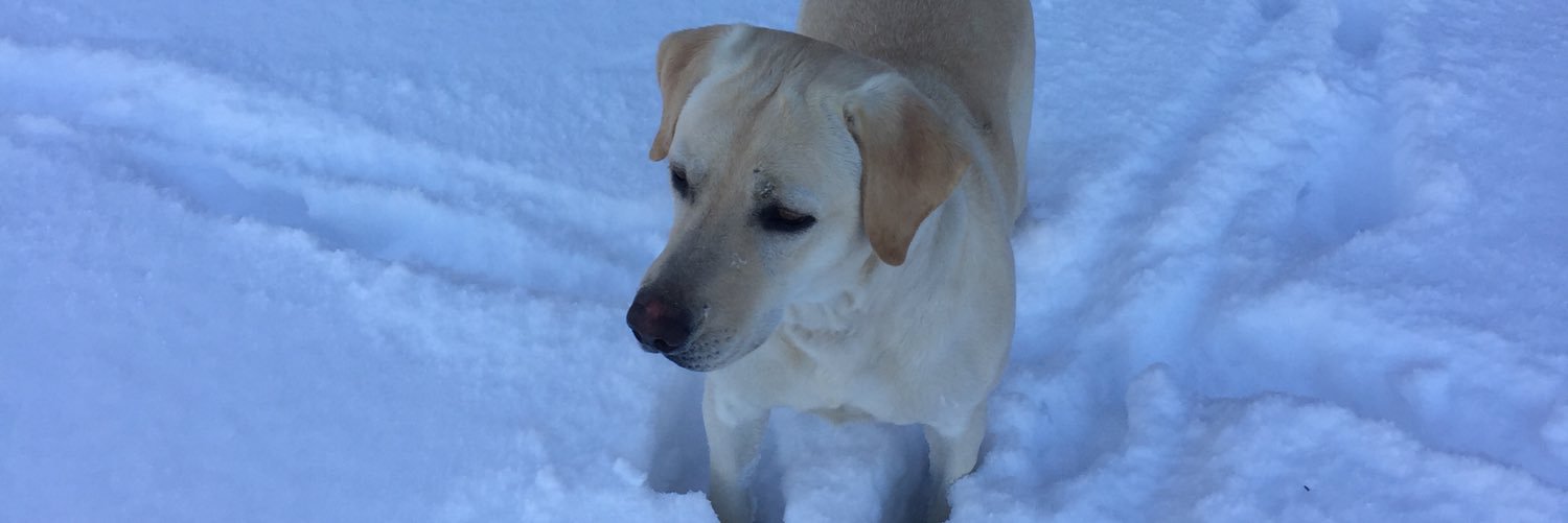 Katie Underwood banner