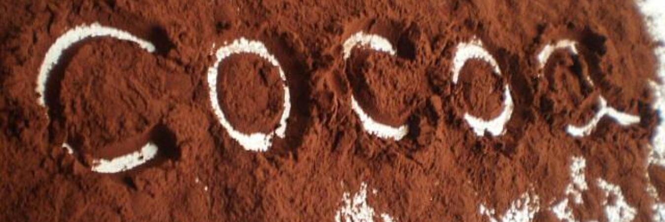 CoCoaLeath's profile banner image