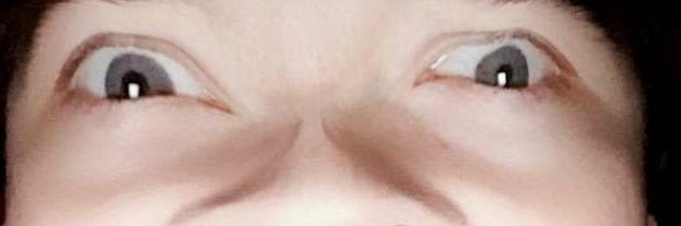 Lilee banner