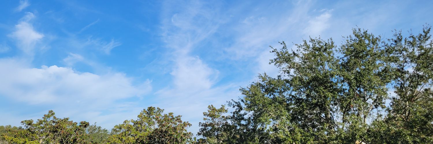 Roy Philipose banner