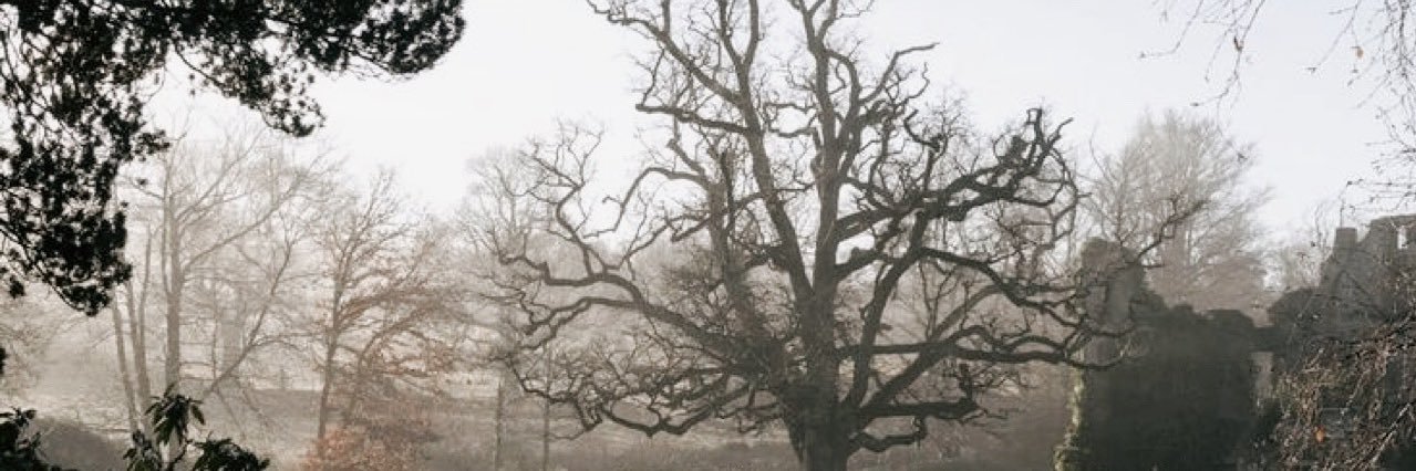 ͏͏͏͏ً banner