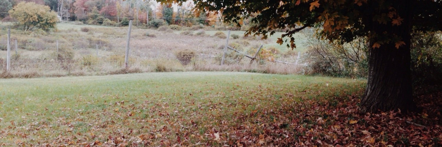 ryliegates's profile banner image