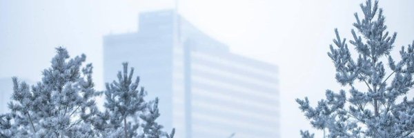 Batkhuu_lw Profile Banner