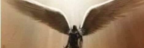 #PitBullForJustice banner