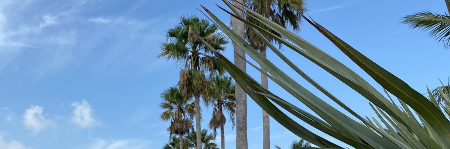 FLORIDAM A N E©️'s banner