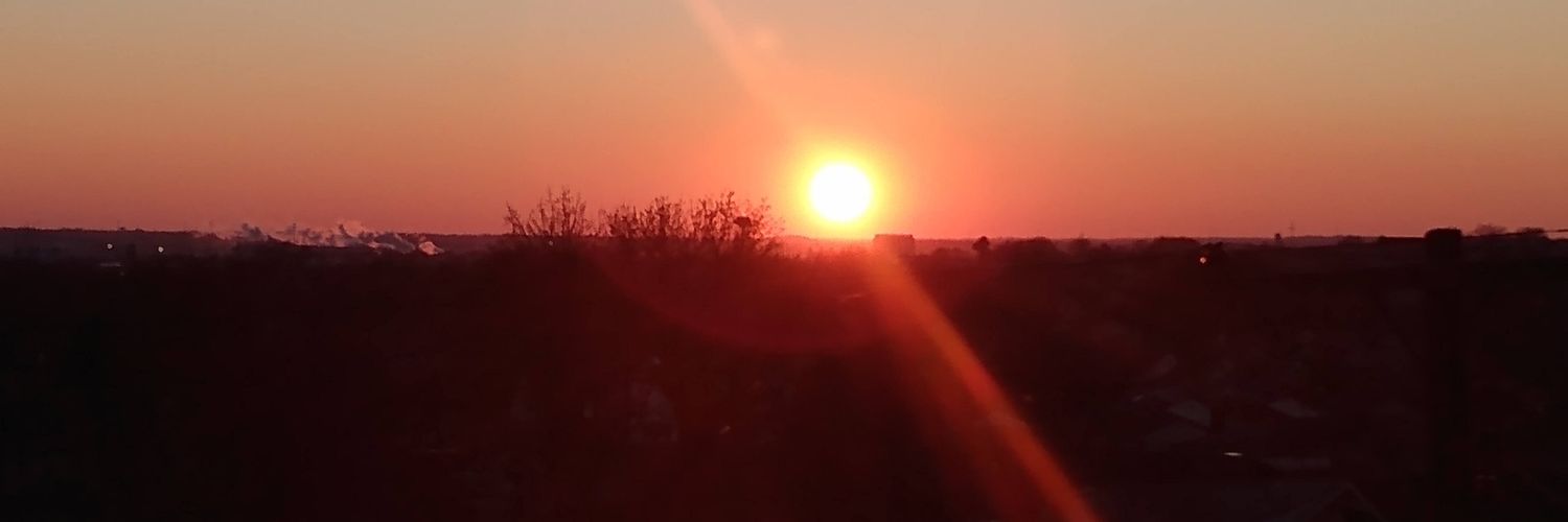 Megsytopolis's profile banner image