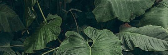mithadjakaria's profile banner image
