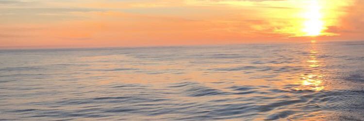 LizLeonard5's profile banner image